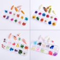 thumbnail image 3 of 12 Colores Arte de Uñas Flor Seca Real Accesorios de Uñas 3D Decoración de Uñas - Flor de gypsophila, 3 of 9