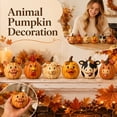 thumbnail image 3 of Halloween Pumpkin Decor 4.5 X 4.5 Inch Resin Farm Animal Horse Pumpkin Cute Fall Decor for Home Indoor Halloween Table Decor Single Piece, 3 of 3