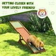 thumbnail image 5 of PawHut Wooden Dog Agility Seesaw for Training and Exercise, Platform Equipment Run Game Toy Weather Resistant Pet Supplies, Orange, 5 of 9
