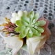 thumbnail image 3 of Romántica Rosa Muñeca Ramillete Mano Flor, 3 of 8
