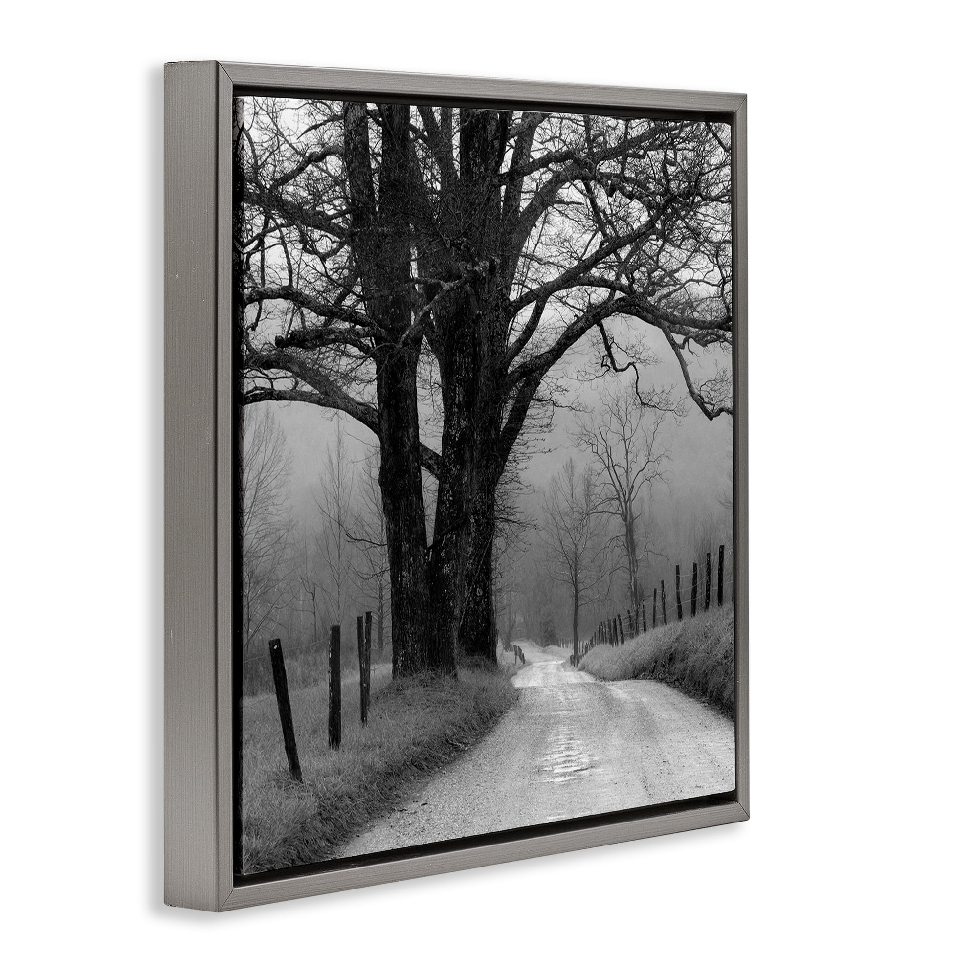 Stupell Industries Lonely Path Toward Trees Landscape & Nature Photography Gray Floater Framed Canvas Art Print Wall Art, 25 x 25