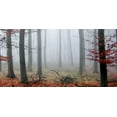 thumbnail image 2 of PhotoINC Studio 32x18 Gold Ornate Wood Framed with Double Matting Museum Art Print Titled - Misty Woods, 2 of 4