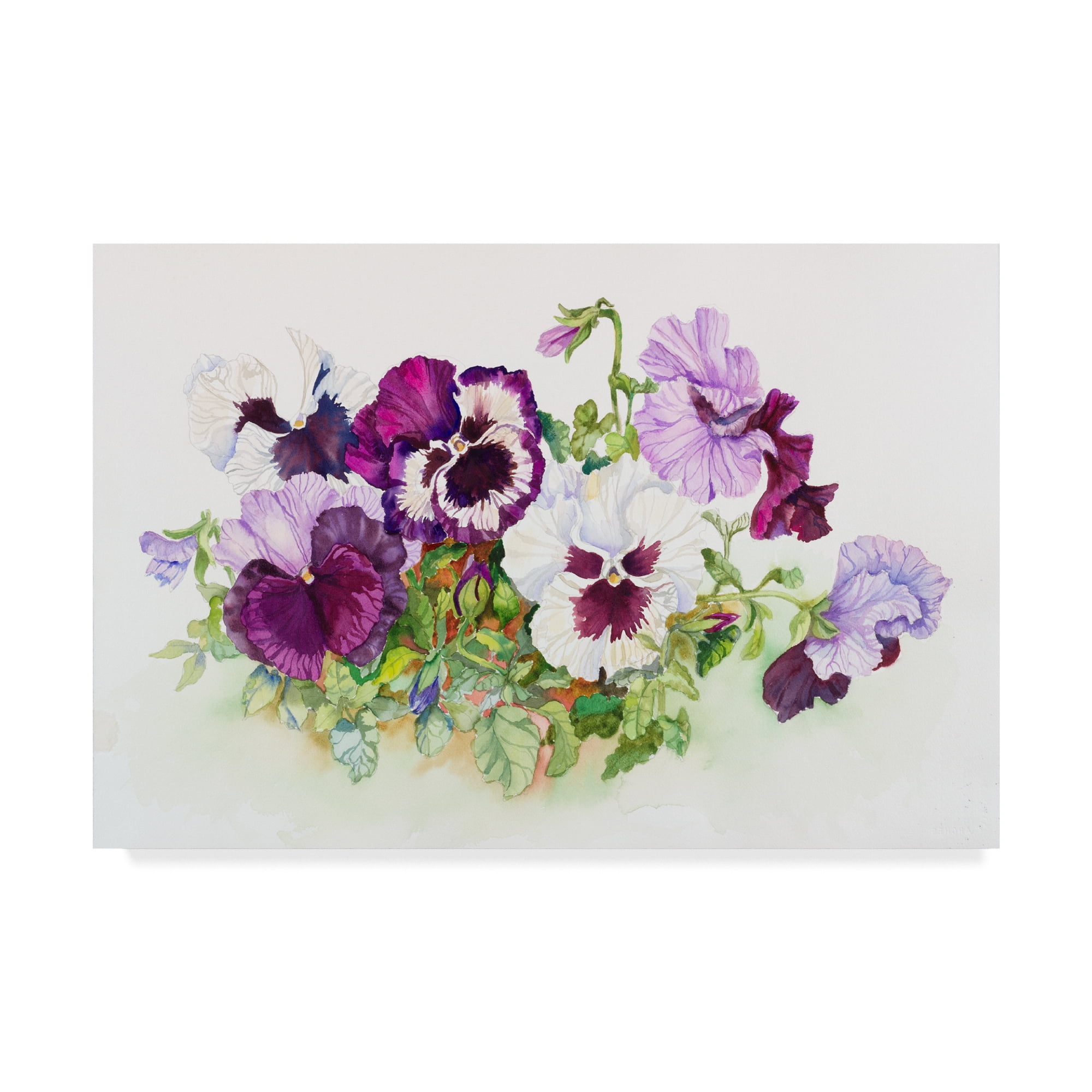 11x14 Purple Pansies