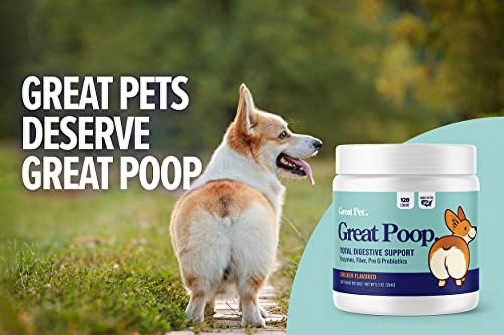 Great Poop Probiotics for Dogs - Fiber for Dogs Supplement with Dog Probiotics and Digestive Enzymes for a Healthy Gut, Firm Stool & Diarrhea Relief - Chicken Flavored Pet Soft Chews with Prebiotics