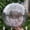Multicolor #46, variant on Jumbo 24 in Inflatable Sequin Beach Ball for Pool and Beach Activities, Sparkling Clear PVC Water Play Sphere for Summer Parties and Outdoor Fun
