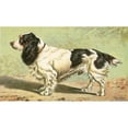 thumbnail image 3 of Unknown 18x12 Black Modern Framed Museum Art Print Titled - Mans Best Friend V, 3 of 5