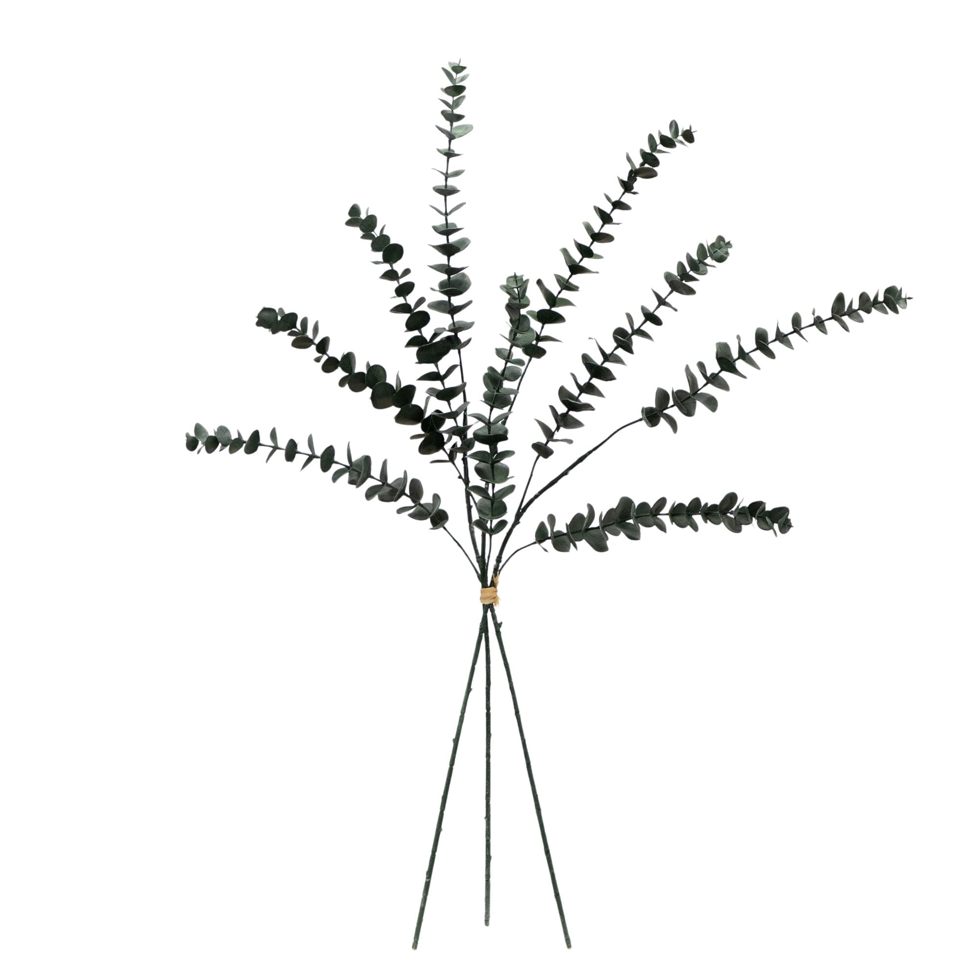 Better Homes & Gardens Spiral Eucalyptus Artificial Floral Stem, Green