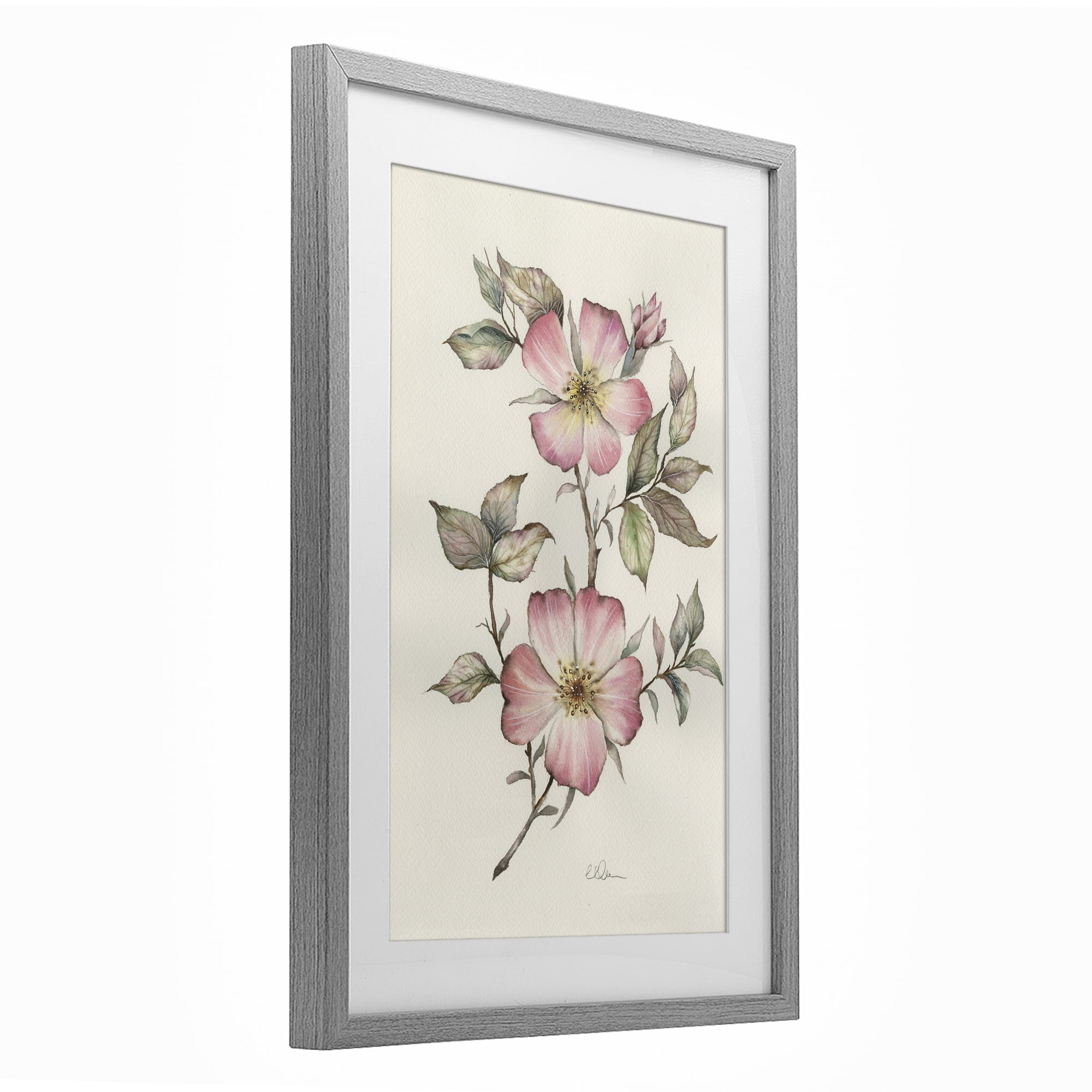 Stupell Industries Two Flowers Natural Study Gray Framed Print Under Glass, design by Cady Driver