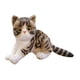 thumbnail image 3 of Muñeco de peluche de gato de simulación, adorno hecho a mano, diseño de escena, accesorios, almohada Marrón claro, 3 of 9