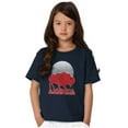 thumbnail image 5 of Vintage Patriotic American Buffalo Crewneck T Shirts Boy Girl Teen Brisco Brands L, 5 of 6