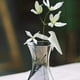 thumbnail image 4 of Juego de estacas de soporte de plantas | Soportes decorativos de soporte para jardín interior | Accesorios de propagación de plástico duraderos | 8 Piezas | Ideal para flores, hierbas | los, 4 of 7