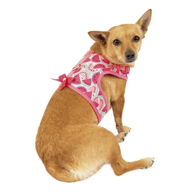 Vibrant dog harness sales