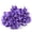 Purple, variant on Suodoka 100PCS Numbered Plastic Poultry Leg Rings for Chickens Ducks Goose, 0.63 inches / 1.6 cm Inner Diameter Clip-on Bands for Identification, Coop Management Accessories for Farm, Blue
