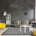 Green Decore Nirvana Black/White Indoor/Outdoor Area Rug