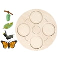 thumbnail image 1 of Milaget Growth Cycle Board Early #Educational for Preschool Kids Butterfly, 1 of 8