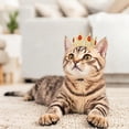 thumbnail image 4 of Lttoisl Sparkling Alloy & Rhinestone Pet Crown, Adjustable Gold Silver Electroplated Tiara for Small Dogs Cats, Birthday Wedding Photo Prop Costume, 2.36 Inch Diameter, 4 of 8