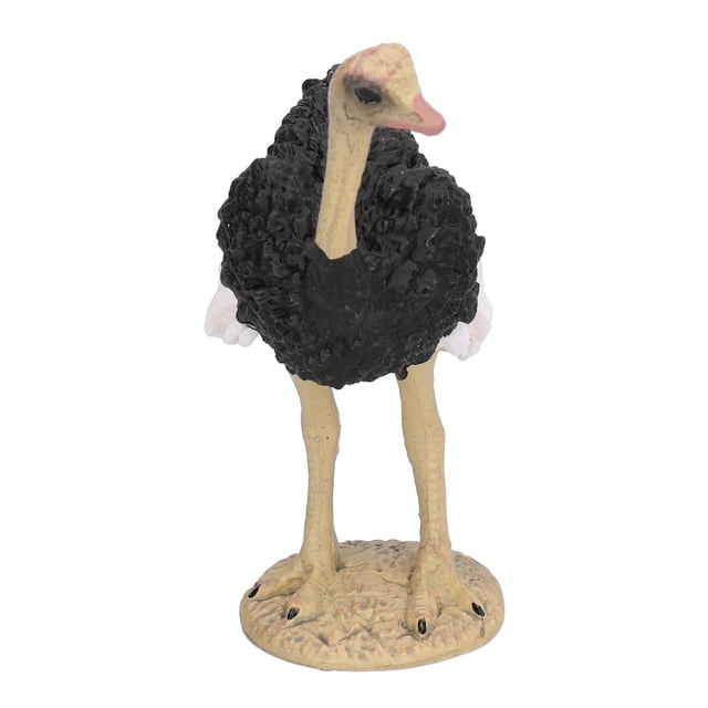 Modelo de avestruz animal, accesorio de modelo de avestruz textura delicada para accesorios educativos para nios para decoración del hogar Unbranded 2013210124112