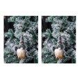 thumbnail image 1 of Muñeca sin rostro brillante Muñeca de gnomos suecos brillantes con capa Enano sin rostro Felpa Adornos hechos a mano de Halloween Regalos de Halloween para niños 2 piezas (E) oso de fresa Electrónica, 1 of 5