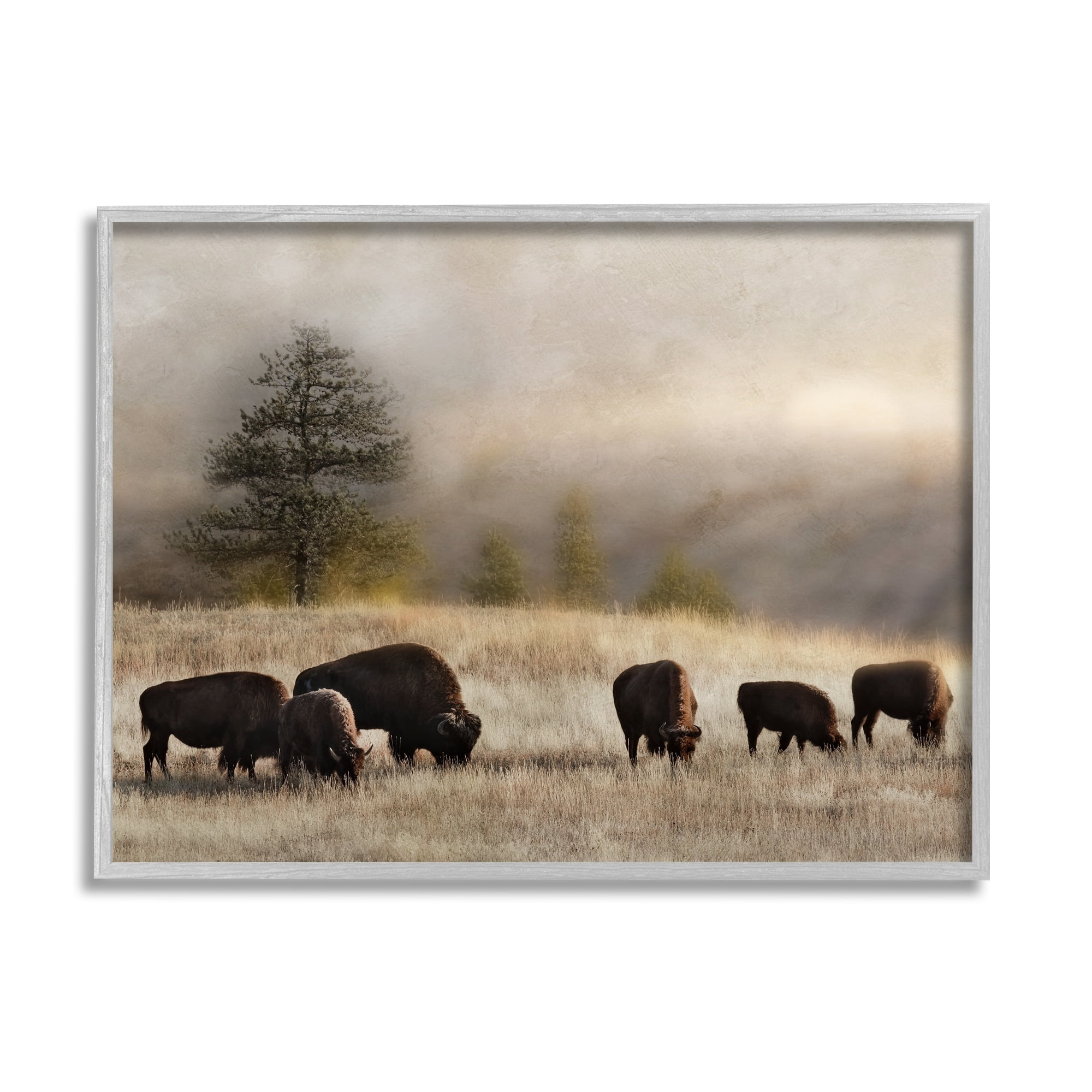 Stupell Industries Grazing Bison Rural Grassland Meadow Panoramic Scene Photograph Gray Framed Art Print Wall Art, Design by Danita Delimont