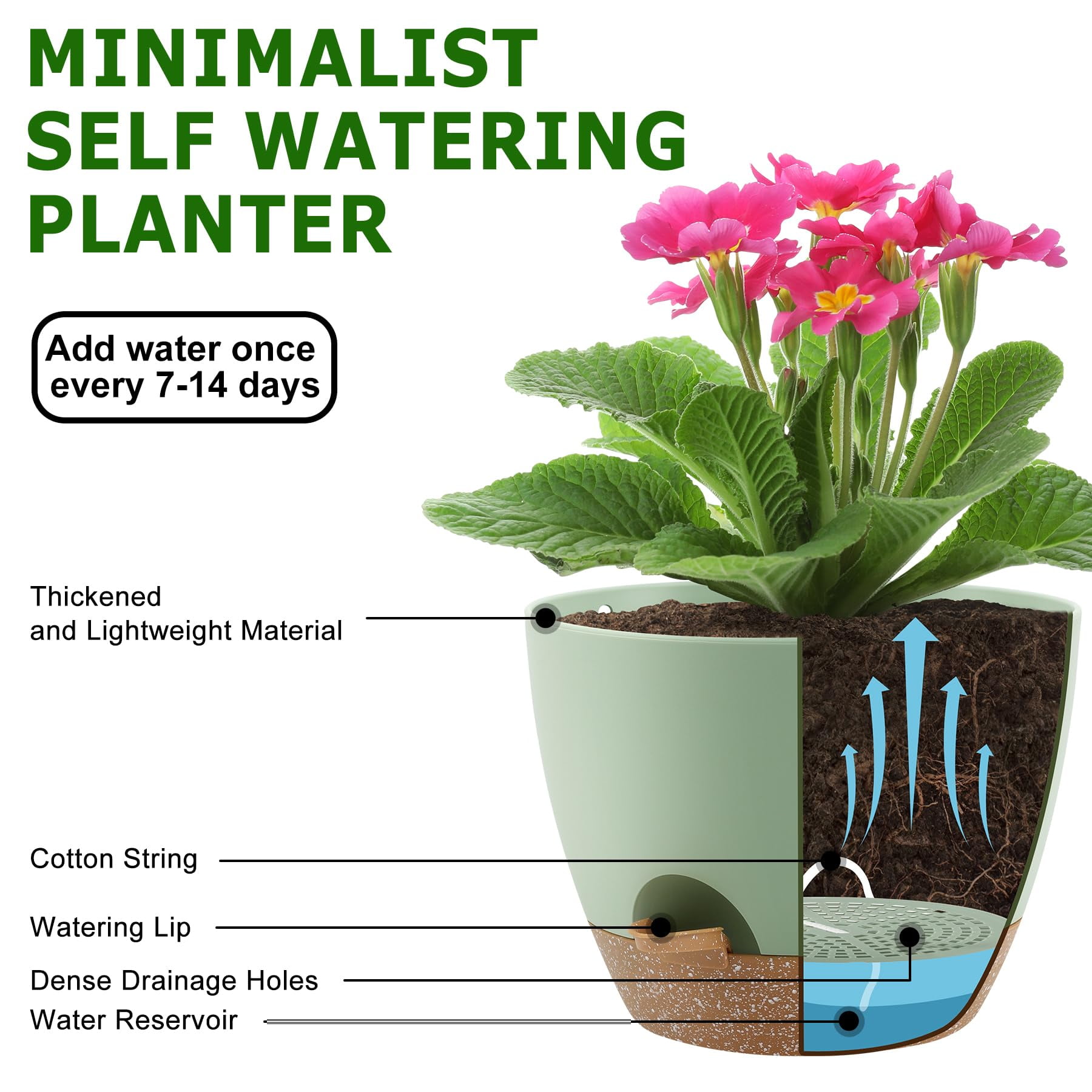 Self Watering Plant Pots Set of 5 with Drainage Holes and Saucers, Plastic Flower Planters for Indoor and Outdoor Gardening, Various Sizes