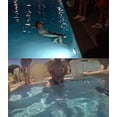 thumbnail image 3 of Dissolving Swim Trunks Birthday Prank Funny Bachelor Beach Party Gift For Your Bro Lose His Swim Shorts In The Swimming Pool (get It), 3 of 3
