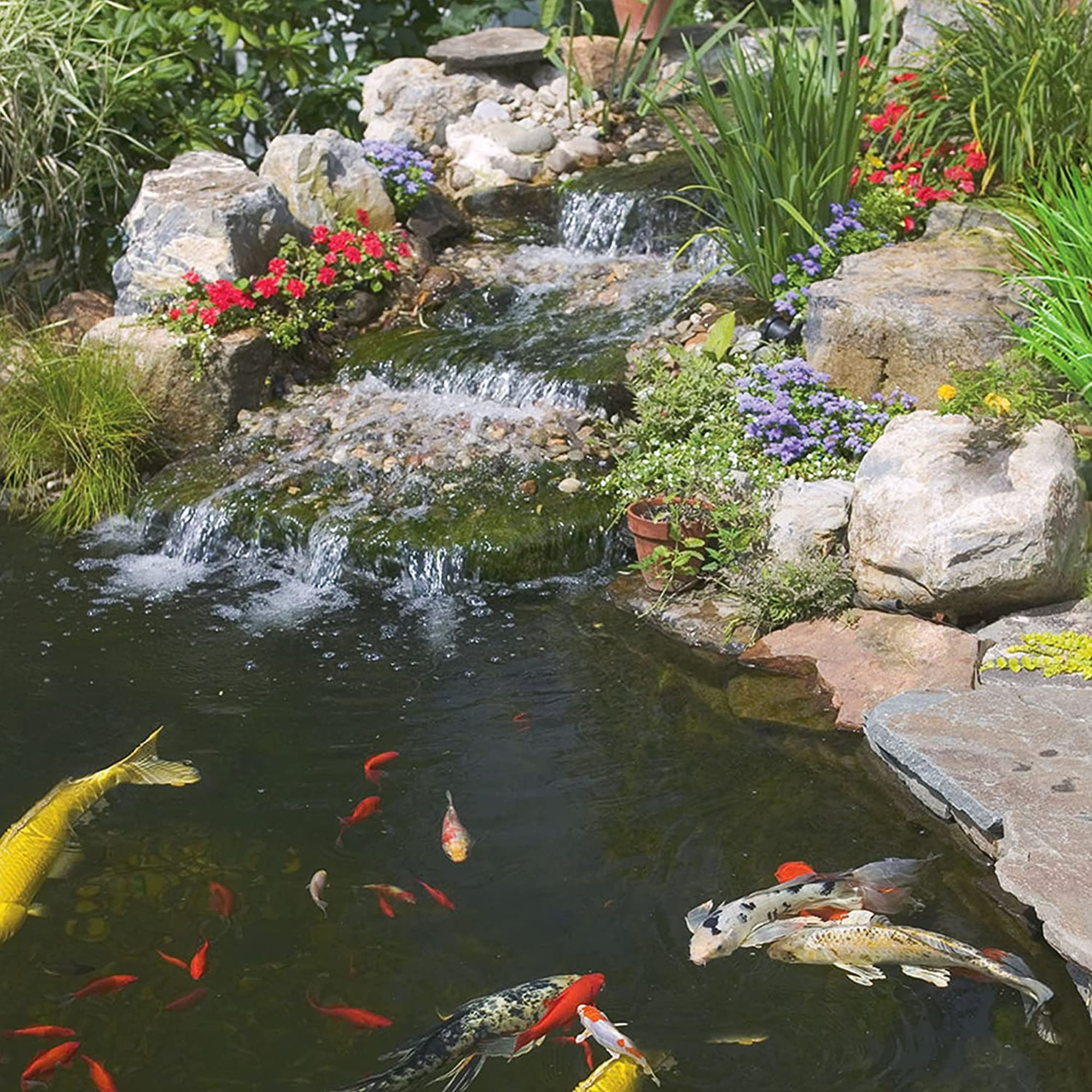 Tetra Pond Water Clarifier 16.9 Ounces, Clumps Contaminants, Clears Cloudy Pond Water