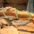 thumbnail image 1 of unbranded Vid Decorativa Para Terrarios Con Rama Artificial Resistente Para Reptiles, 1 of 7