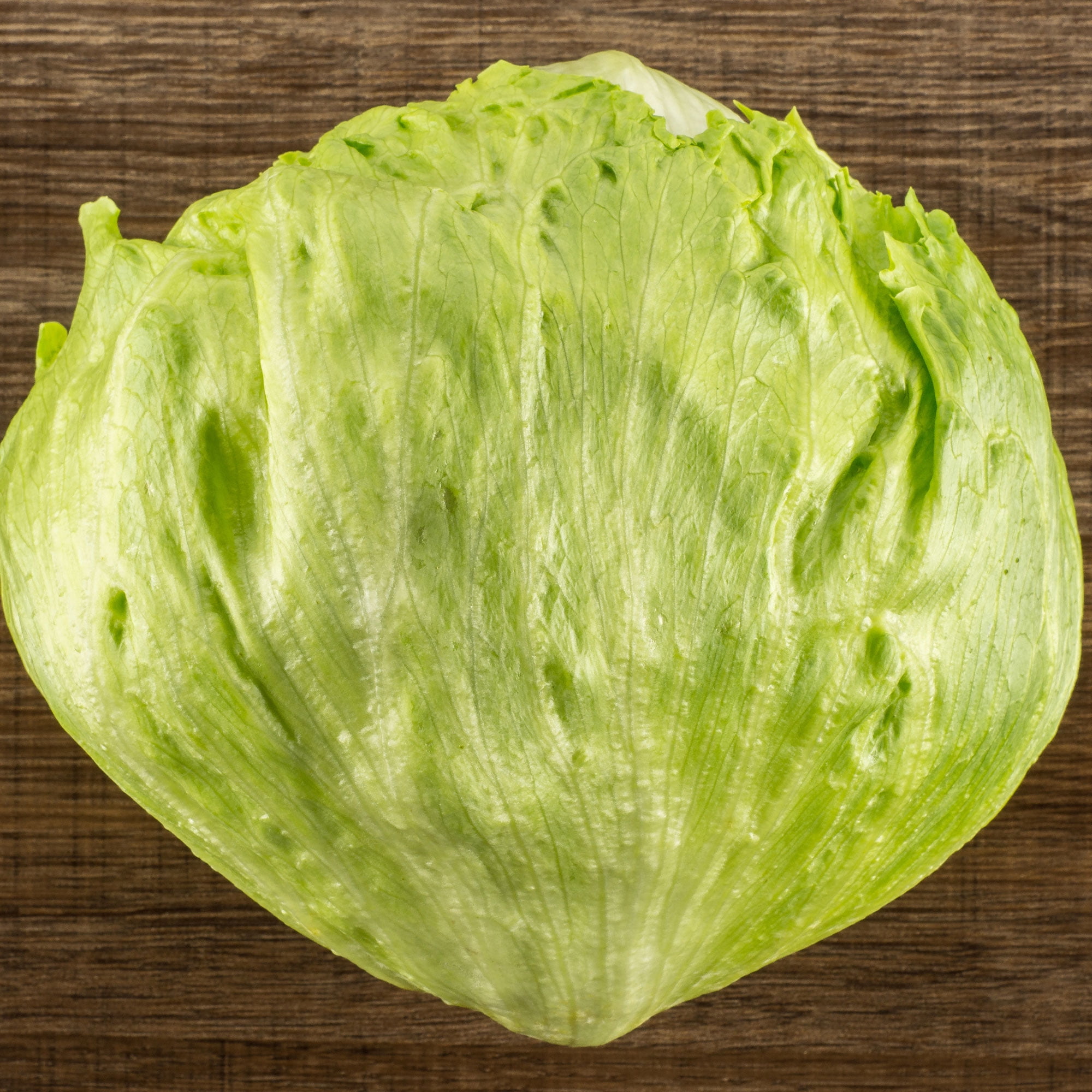 Lettuce Seeds Crisphead Great Lakes Mesa 659 1 g Packet 900