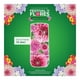 thumbnail image 3 of Aromatizante ambiental Air Wick freshmatic flores blancas y melón 1 aparato y 1 repuesto de 250 ml, 3 of 4