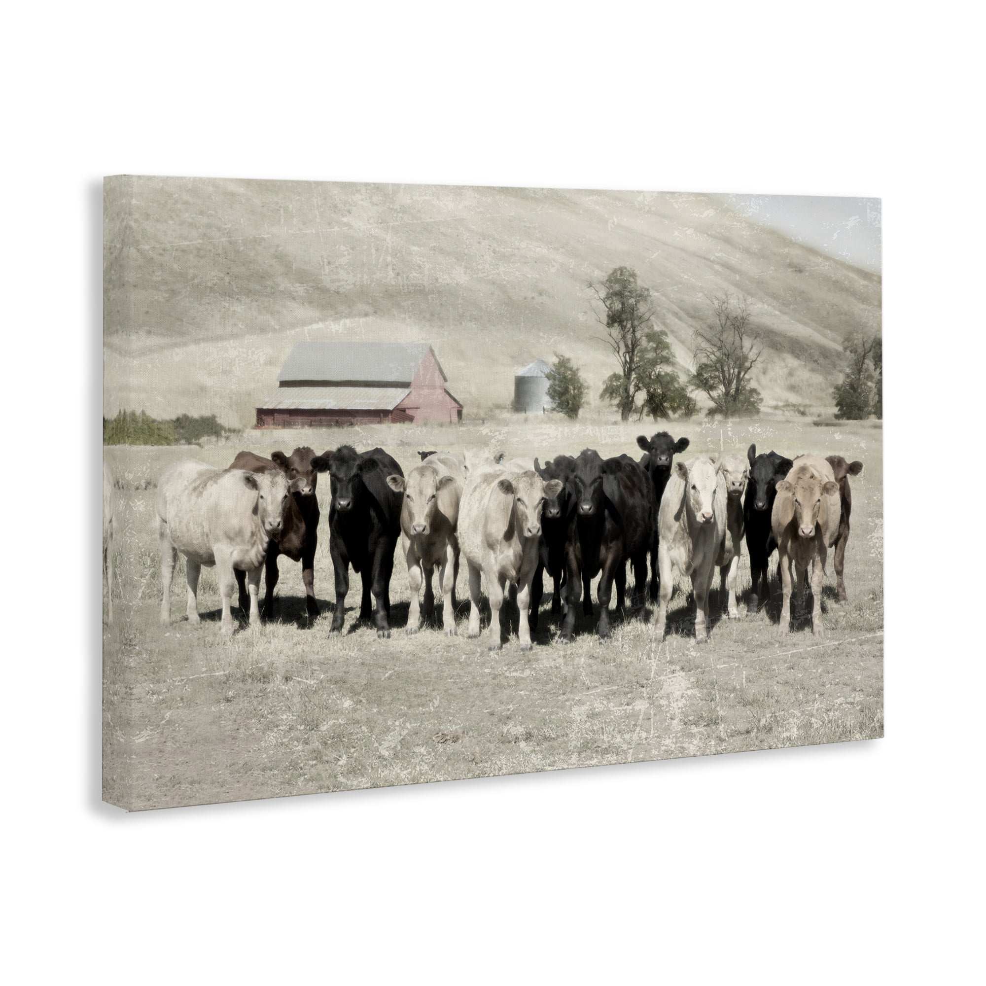Stupell Industries Varied Cattle on Farm Landscape Painting Gallery Wrapped Canvas Art Print Wall Art, 24 x 16