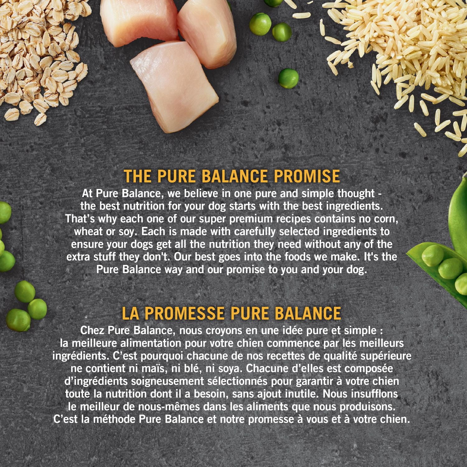 Pure Balance Recette Poulet et Riz Nourriture sèche pour Chien
