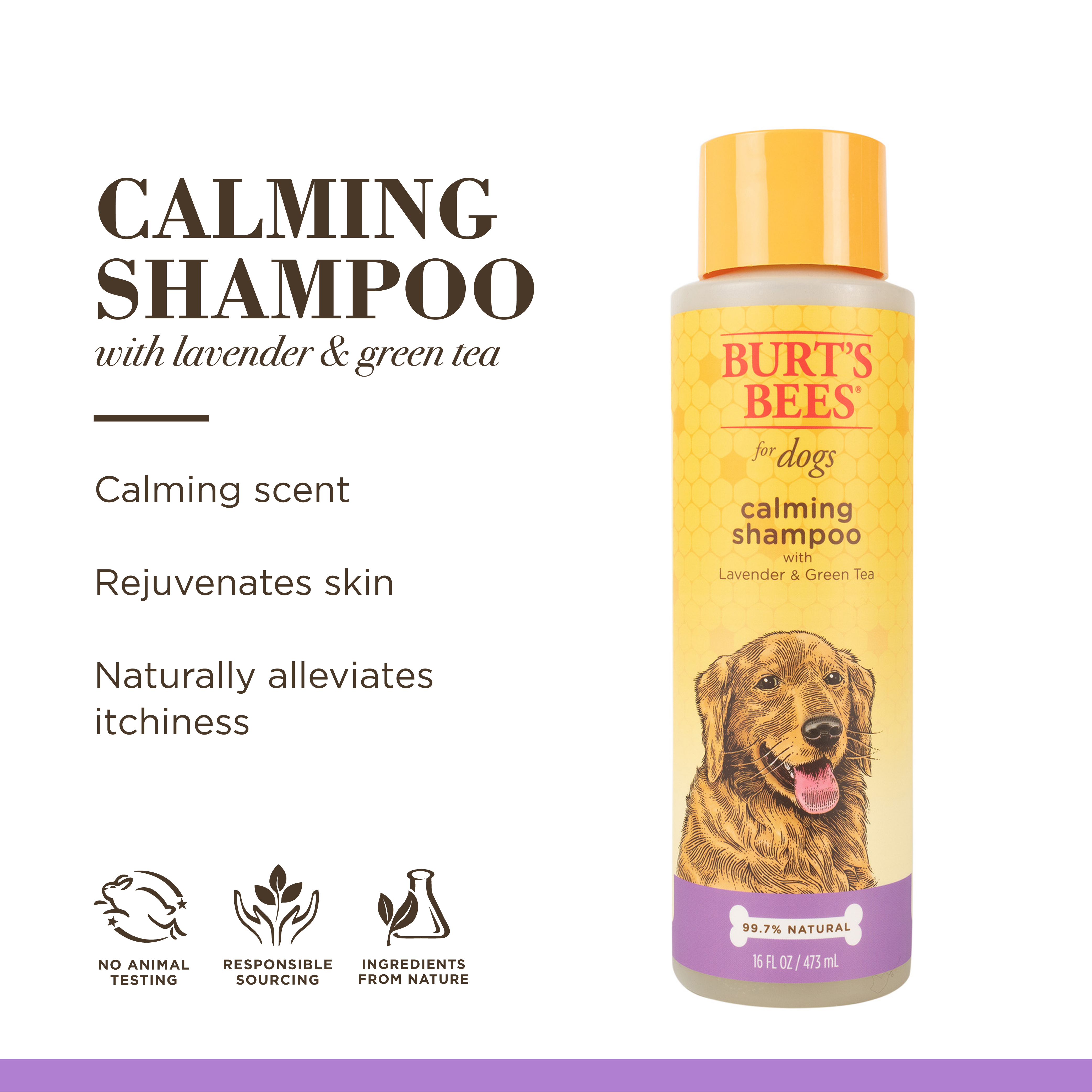 Burt's Bees Natural Calming Dog Shampoo, Lavender & Green Tea photo 2