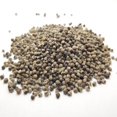 thumbnail image 2 of Organic Chaste Tree Berries Whole - 1 lb, 2 of 2