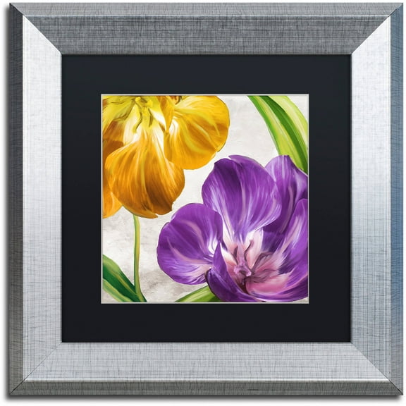 Trademark Fine Art "Open Arms II" Canvas Art by Color Bakery Black Matte, Silver Frame