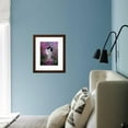 thumbnail image 6 of Domestic Cat, Black Bicolour PersianCross Kitten Among Rosebay Willowherb, Animals Framed Art Print Wall Art by Jane Burton Sold by Art.Com, 6 of 6