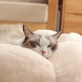 thumbnail image 2 of Happy & Polly Cat Bed, Small Dog Bed, Flower Shaped Bolster for Small Breeds, 21.7" Pink, 2 of 8