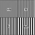 thumbnail image 2 of Printed Adhesive Vinyl Strange Halloween C Pattern Permanent Adhesive (Small Scale), 2 of 2