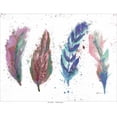thumbnail image 3 of Brown,Victoria 14x12 Black Modern Framed Museum Art Print Titled - Natures Feathers, 3 of 5