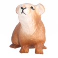 thumbnail image 1 of Fyydes Children Guinea Pig Model,Guinea Pig Model Highly Simulation Animal Model Children Cognitive Toy Desktop Decoration,Guinea Pig Model Toy, 1 of 8