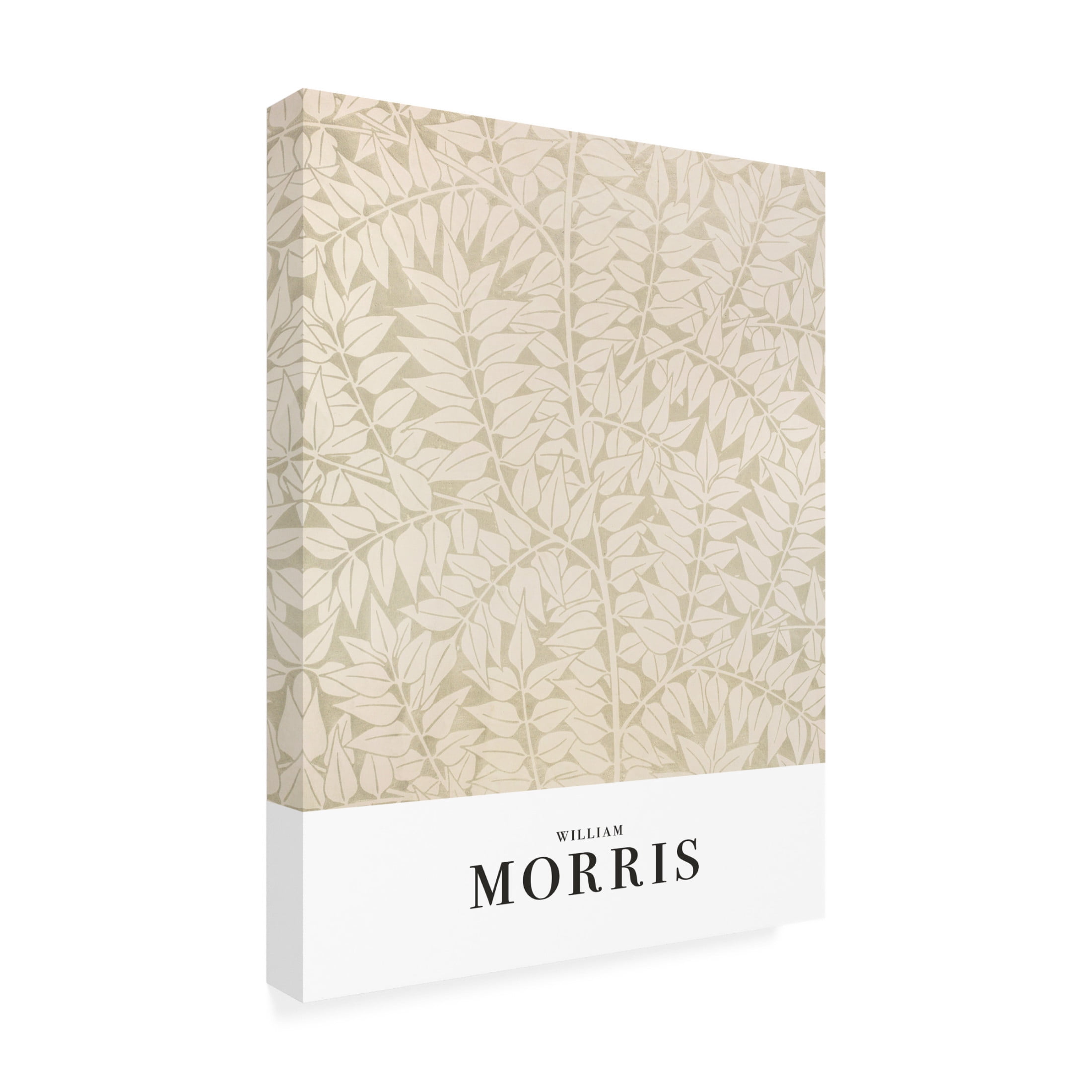 Trademark Fine Art Pictufy  Branch Canvas Wall Art
