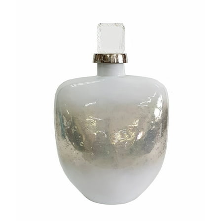 CC Home Furnishings Iridescent Glass Bottle with Acrylic Stopper - 12.5" - Silver and White