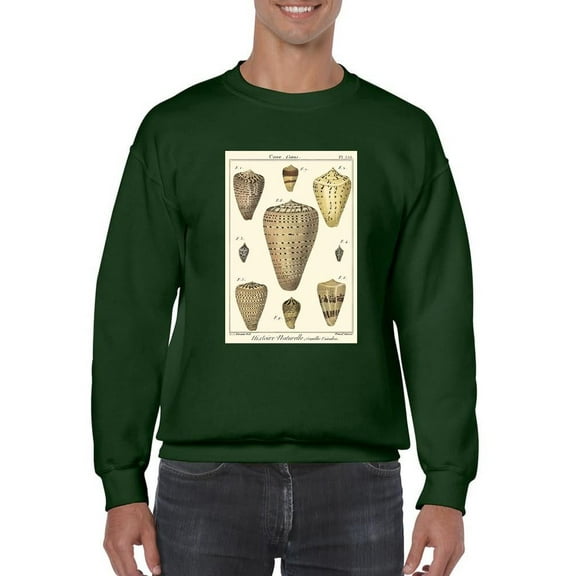 Cone Shells. Sweatshirt Men -Denis Diderot Designs, Male 4X-Large