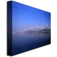 thumbnail image 2 of Trademark Art "White Line" Canvas Art by Philippe Sainte-Laudy, 2 of 2