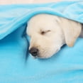 thumbnail image 4 of Home Bedroom Warm Soft Microplush Fleece Bed Blanket, 4 of 6