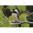 thumbnail image 2 of De Kulture Works Wool Sparrow Needle Felted Ornament, Gray, 1 Piece, 2 of 6