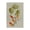 Vintage Vine Blossoms Floral, variant on Stupell Industries Transitional Botanical Drawing Flower Bouquet On Black Design Canvas Art, 24 x 30, by Lettered and Lined