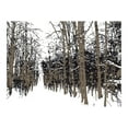 thumbnail image 3 of Tiptophomedecor Landscape Wallpaper Wall Mural - Trees - Autumn, 3 of 4