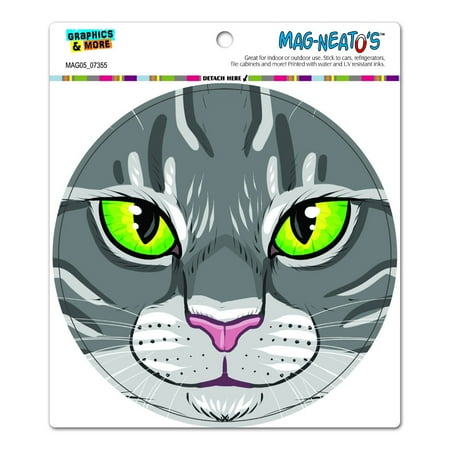 Gray Tabby Cats - Grey Gray Tabby Cat Face - Pet Kitty Circle MAG-NEATO'S(TM) Car/Refrigerator Magnet
