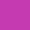Purple Cactus, variant on Umbro Club Shorts Youth Boy's Sizes S-XL