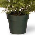 thumbnail image 2 of National Tree Company Arbre Artificiel de 20 Pouces avec Pot, 2 of 4